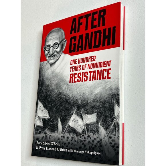 After Gandhi Book Kids Biography One Hundred Years of Nonviolent Resistance - Picture 4 of 6
